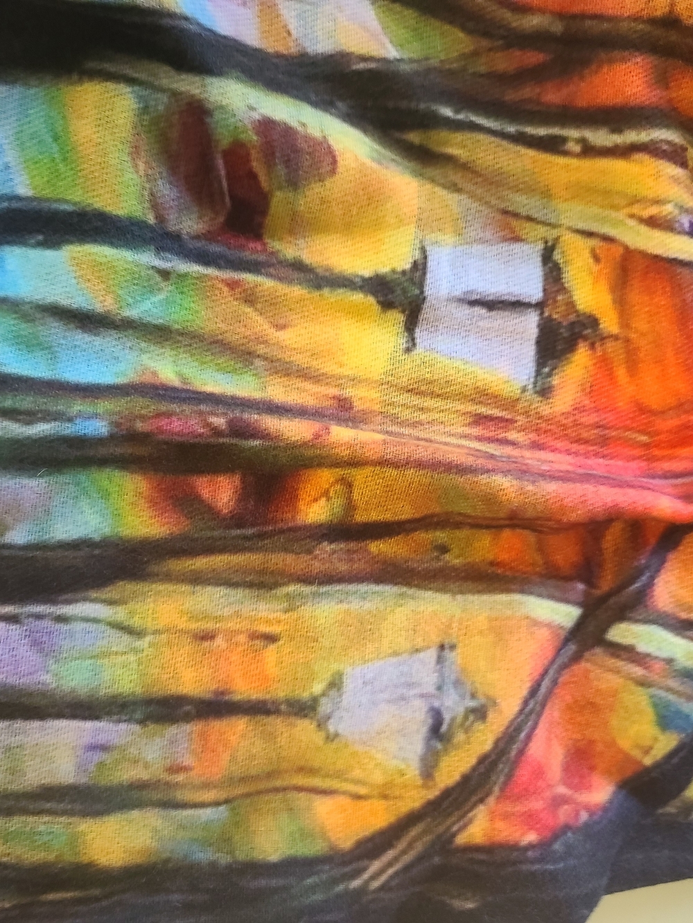 Vibrant Multicolor Abstract Print Scarf/Wrap